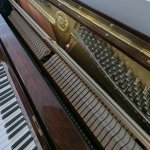 Walnut Yamaha 